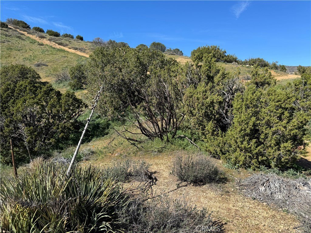 Picture 5
