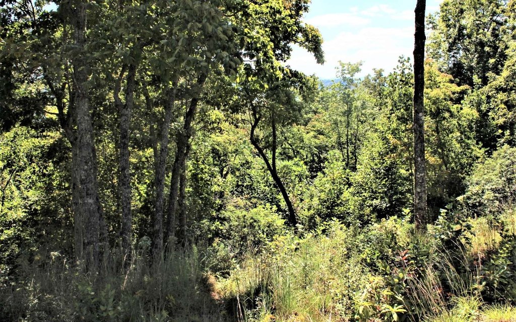Picture 23