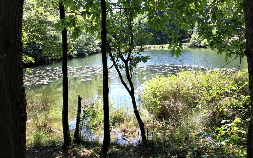 Picture 22