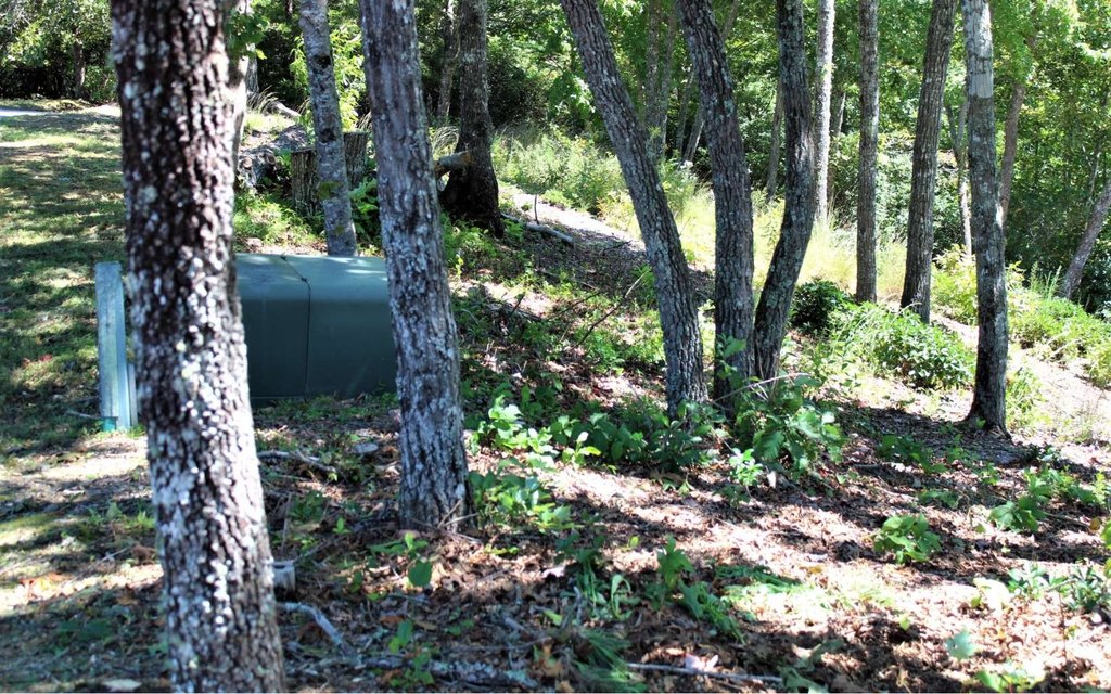 Picture 14