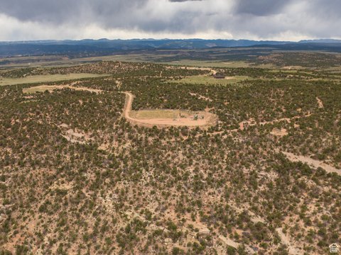Uintah Basin Wooded Land Parcel