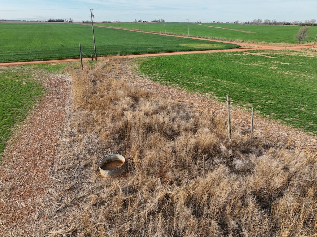 Picture 27