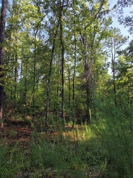 Land, Fortson, GA
