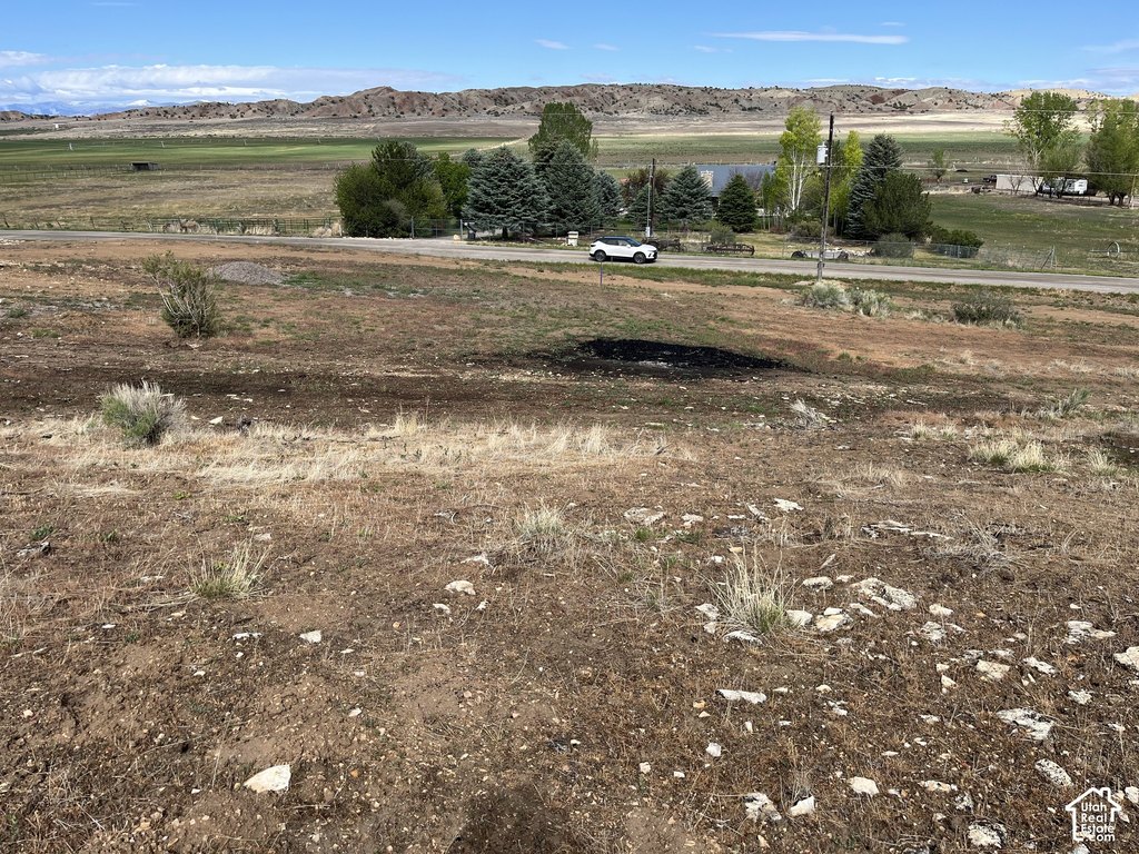 Picture 3
