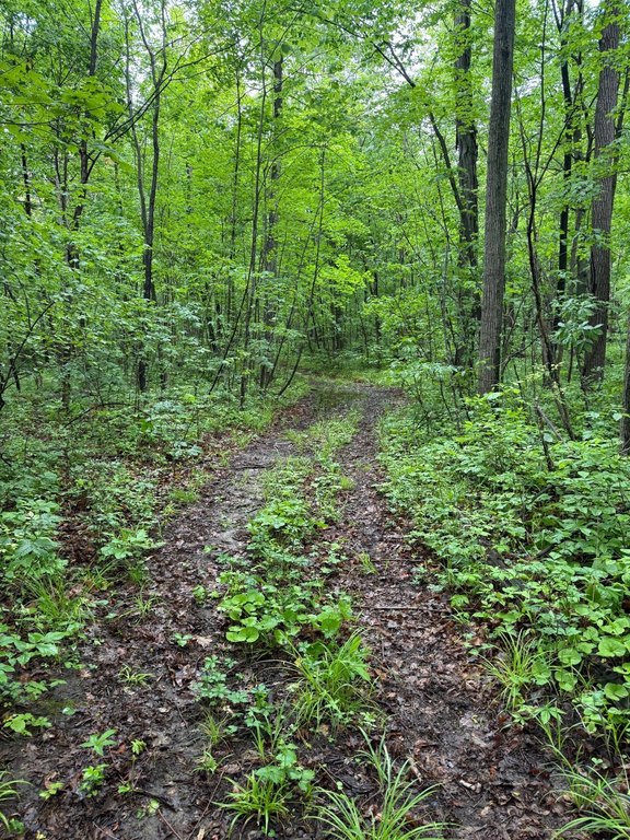 Picture 43