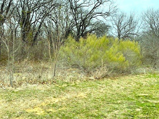 Picture 6
