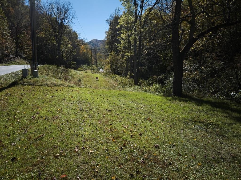Picture 5