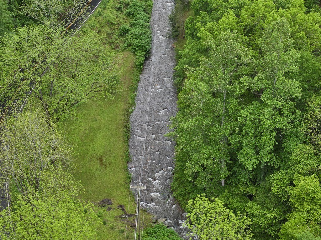 Picture 33