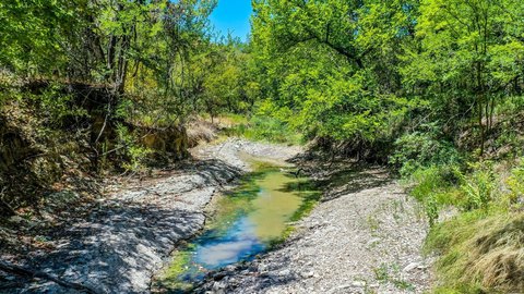 8.79 Acres of Unimproved Land