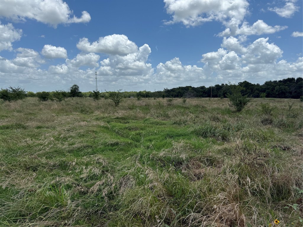 Picture 5