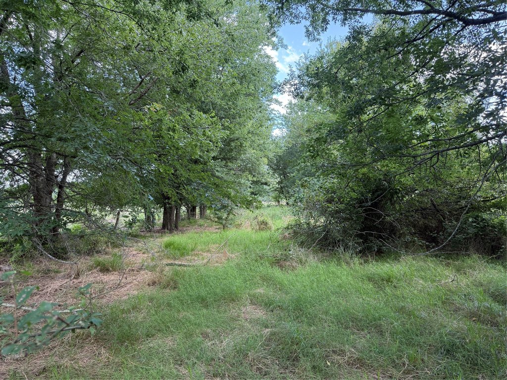 Picture 7
