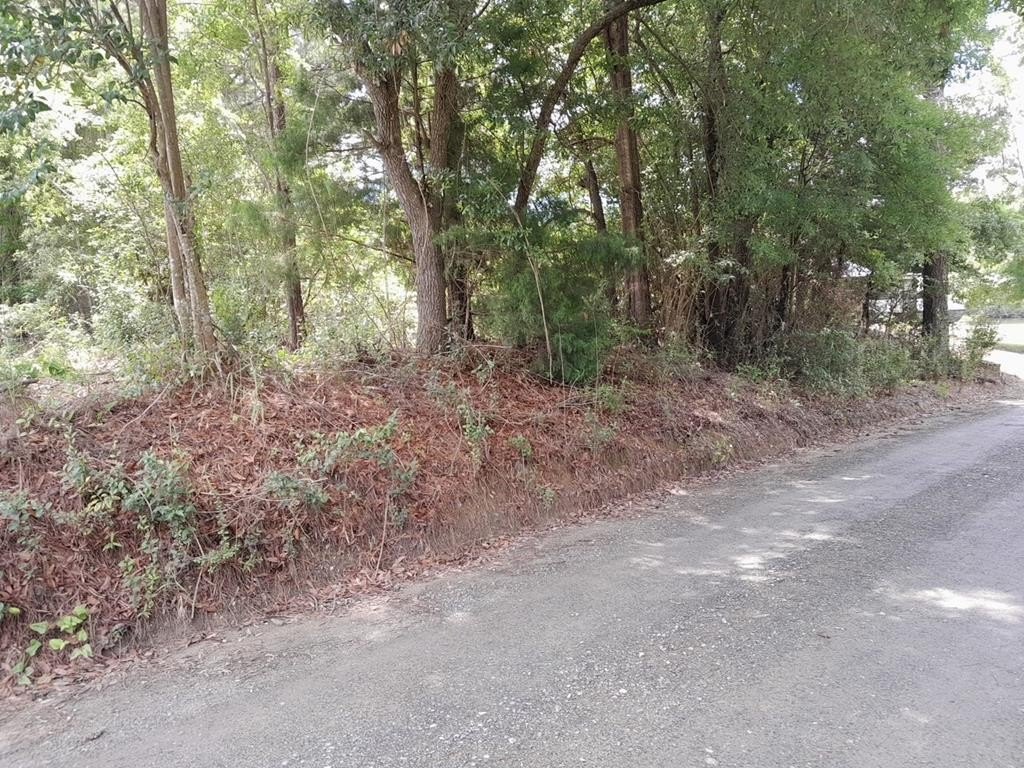 Land Near Macs Camp Landing
