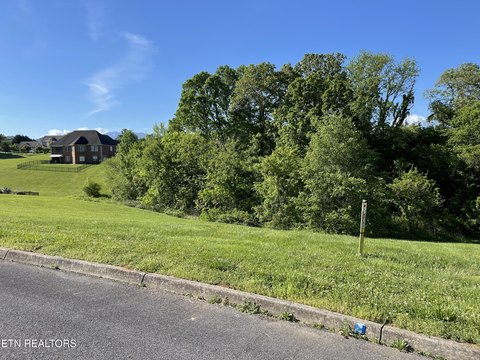 Lots & Acreage, Sevierville, TN