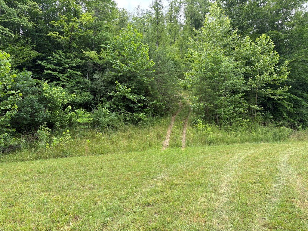 Picture 5