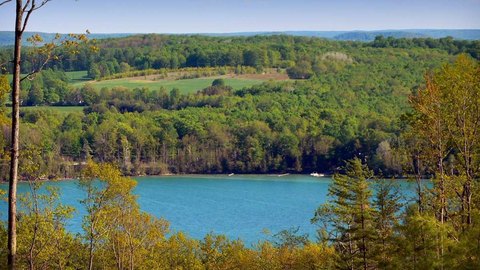 LAND - WALLOON LAKE, MI
