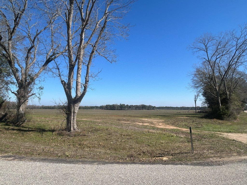 Picture 24