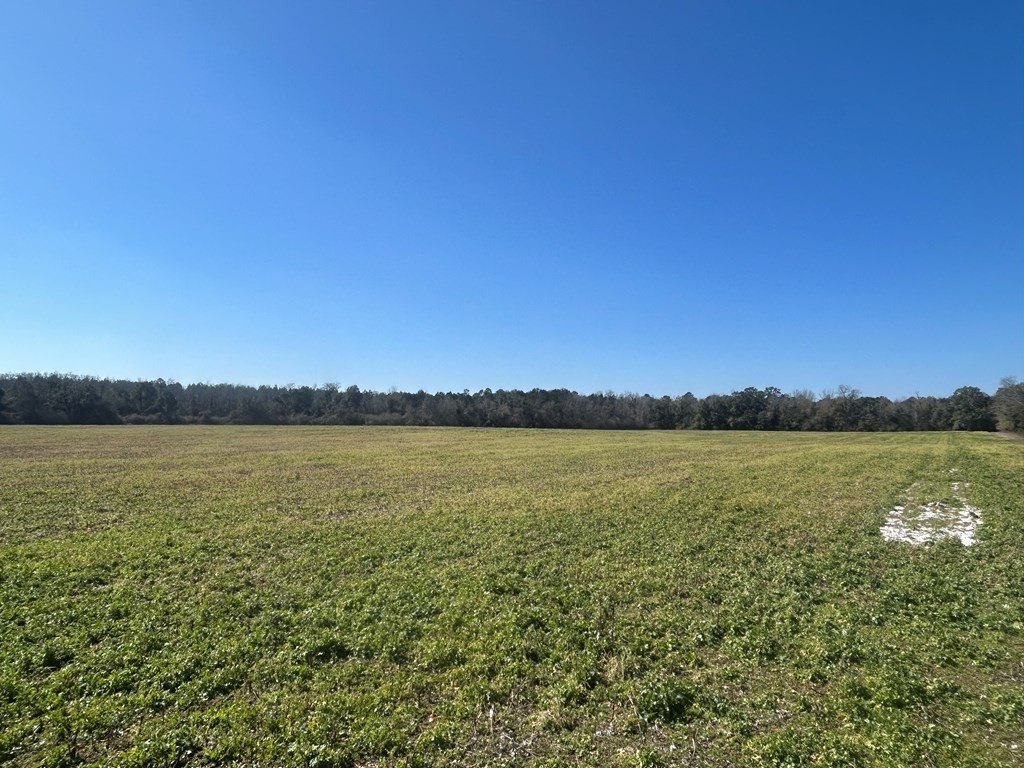 Picture 29
