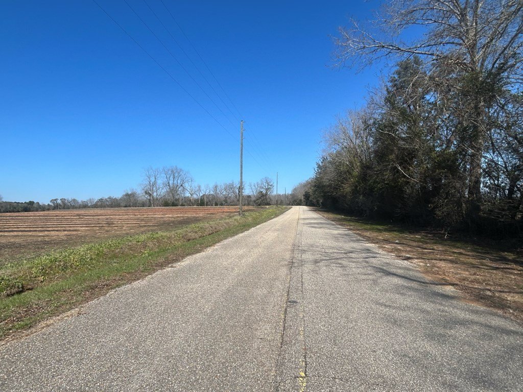 Picture 25