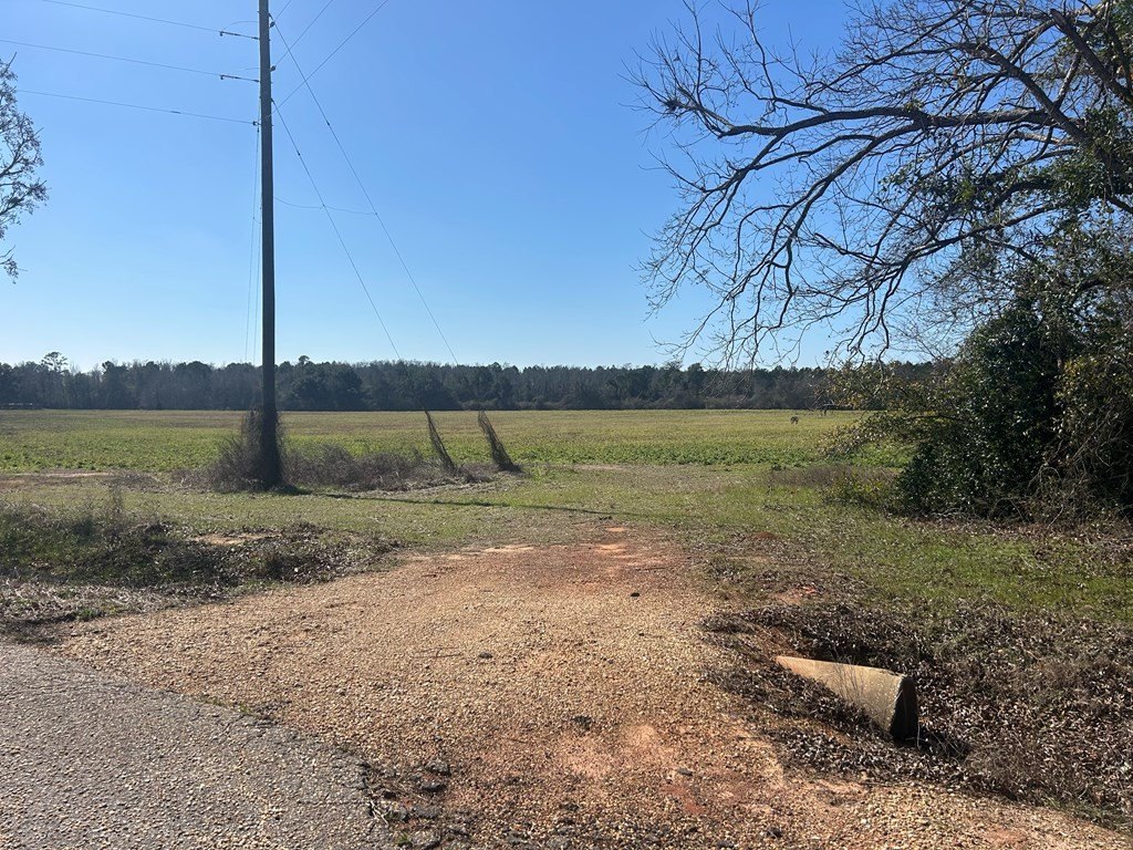 Picture 19