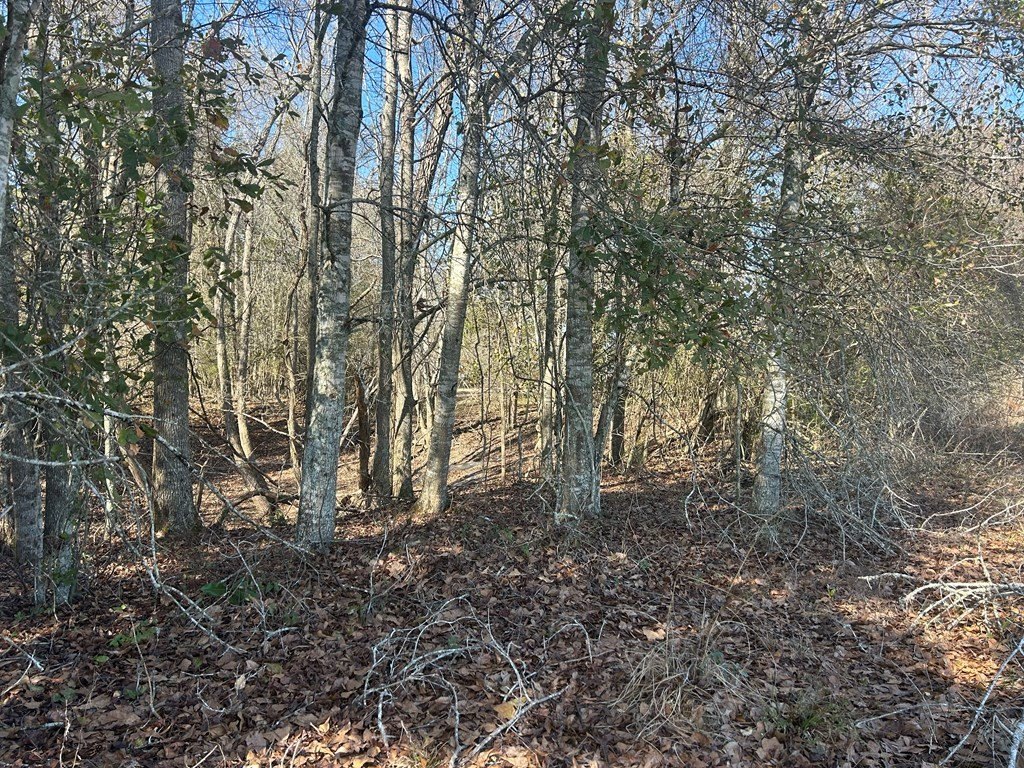 Picture 36
