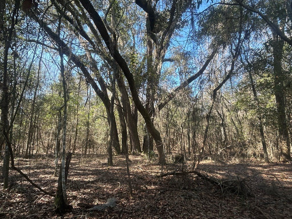 Picture 43