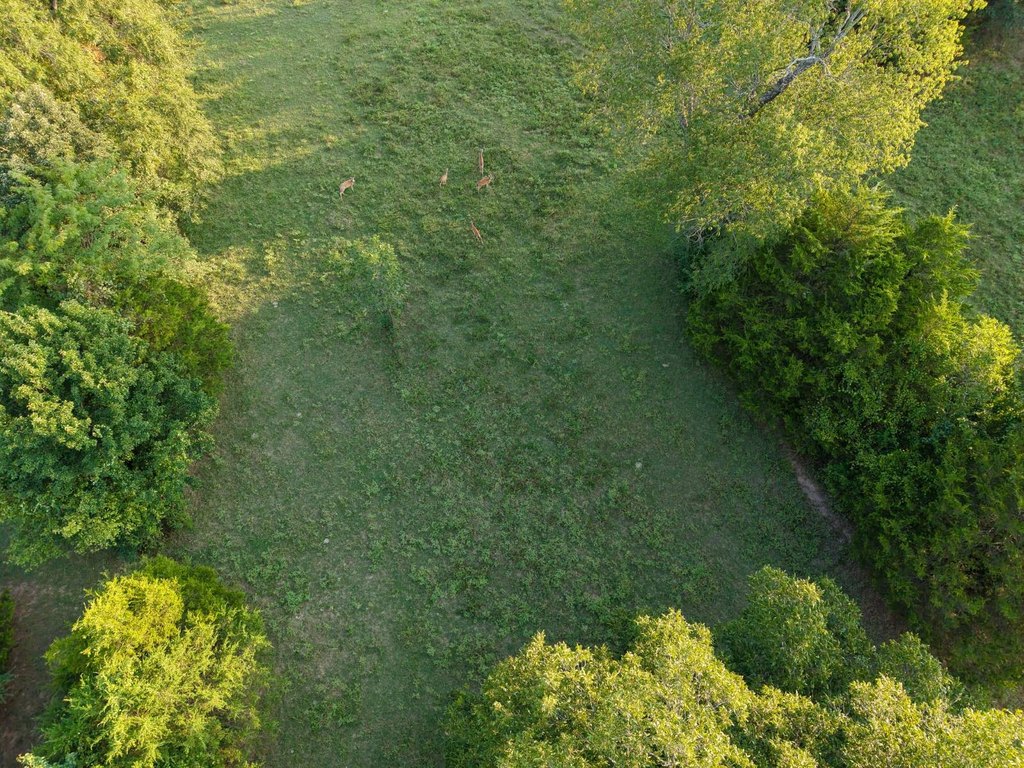 Picture 13