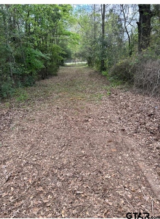 Picture 18