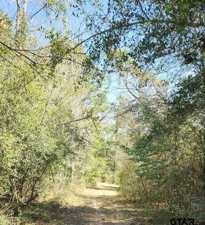 Picture 23
