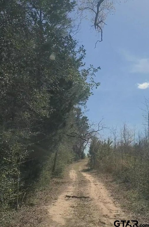 Picture 19