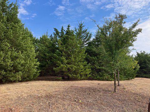 Land, Blue Ridge, TX
