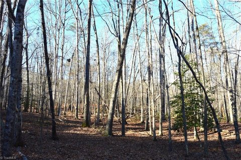 LAND - Danbury, NC