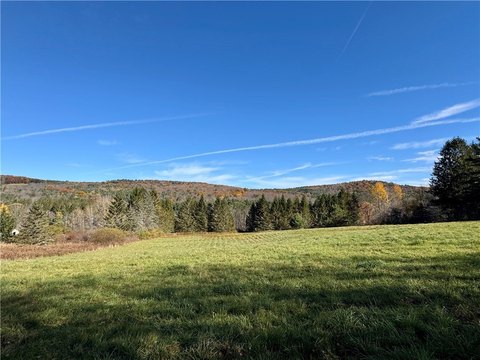 Land, Oneonta, NY