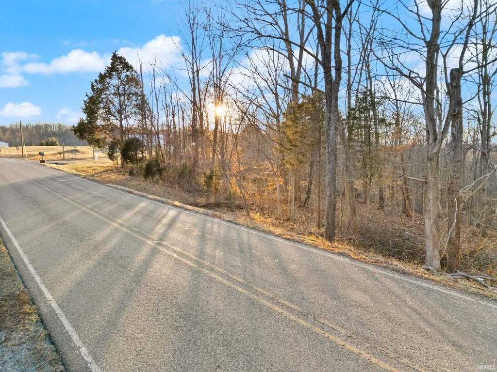Picture 20