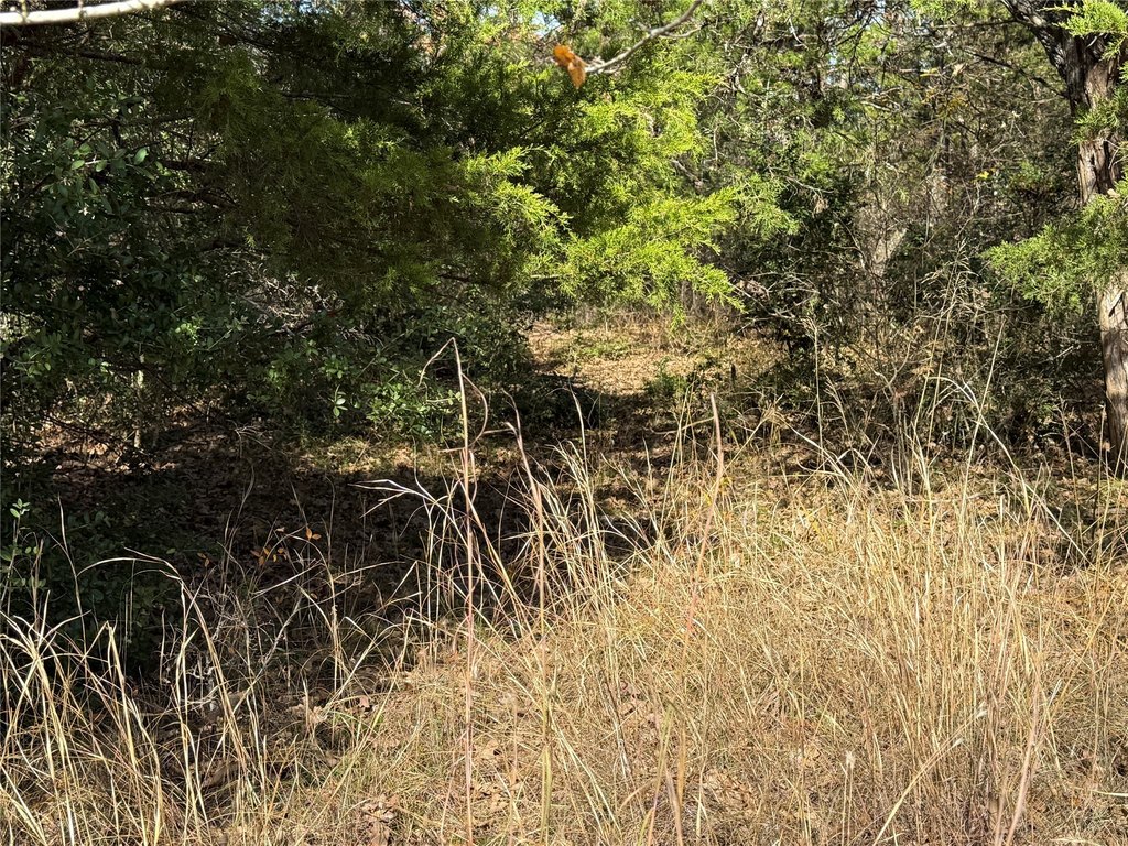 Picture 14