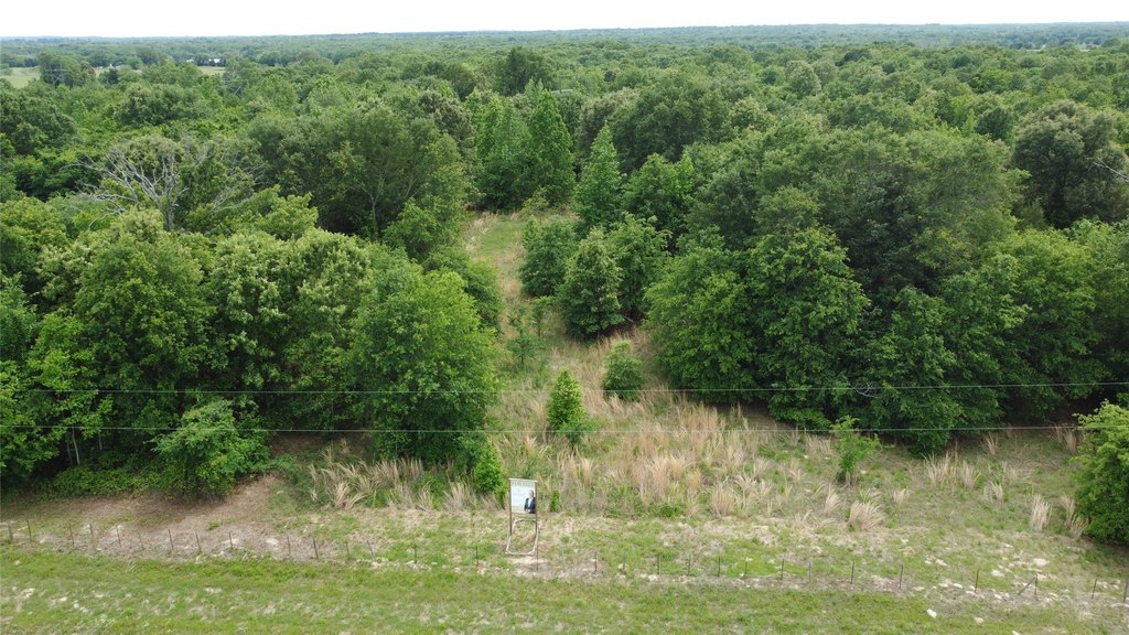 Picture 15