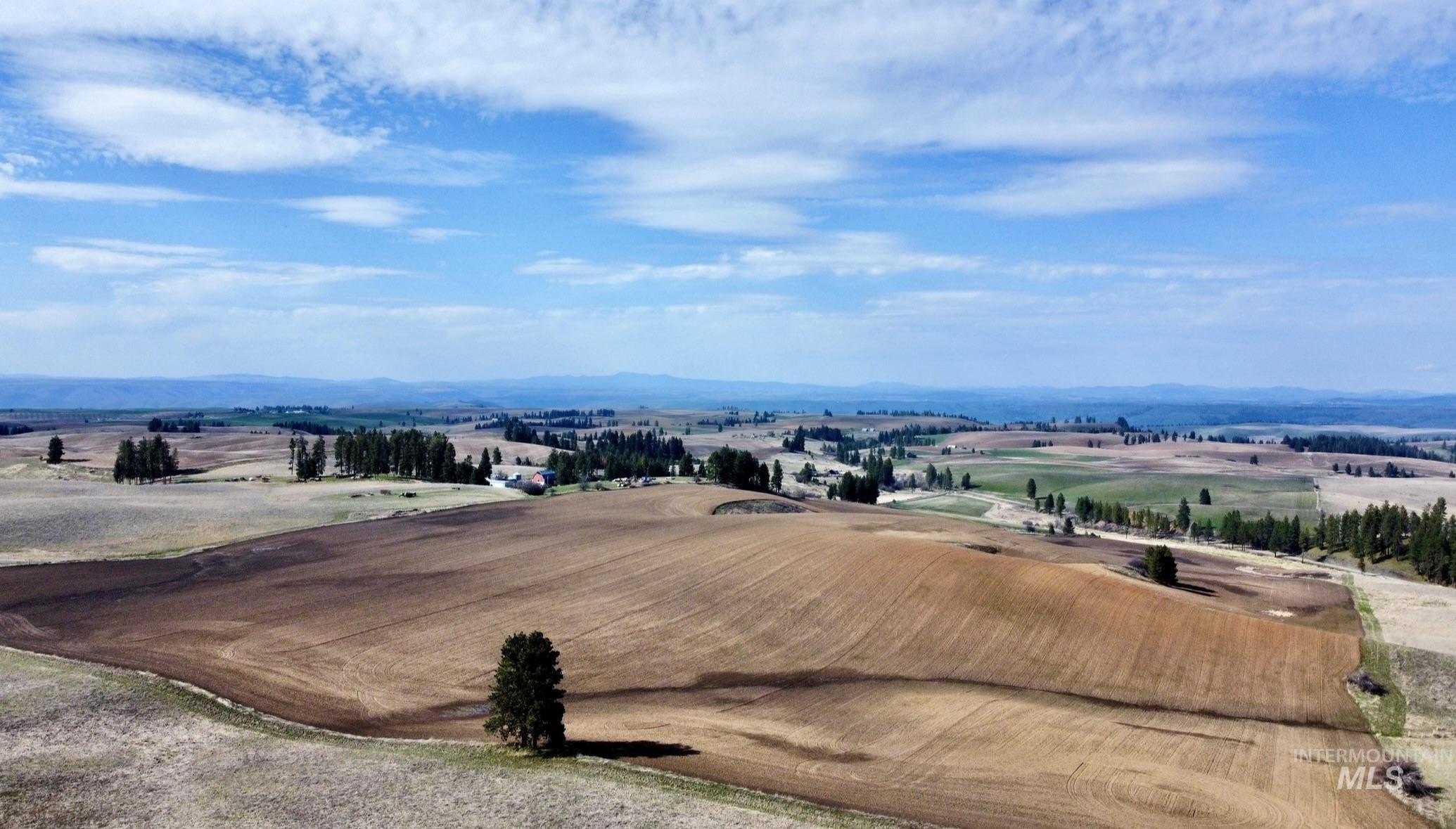 Expansive Prairie Acreage in Lenore