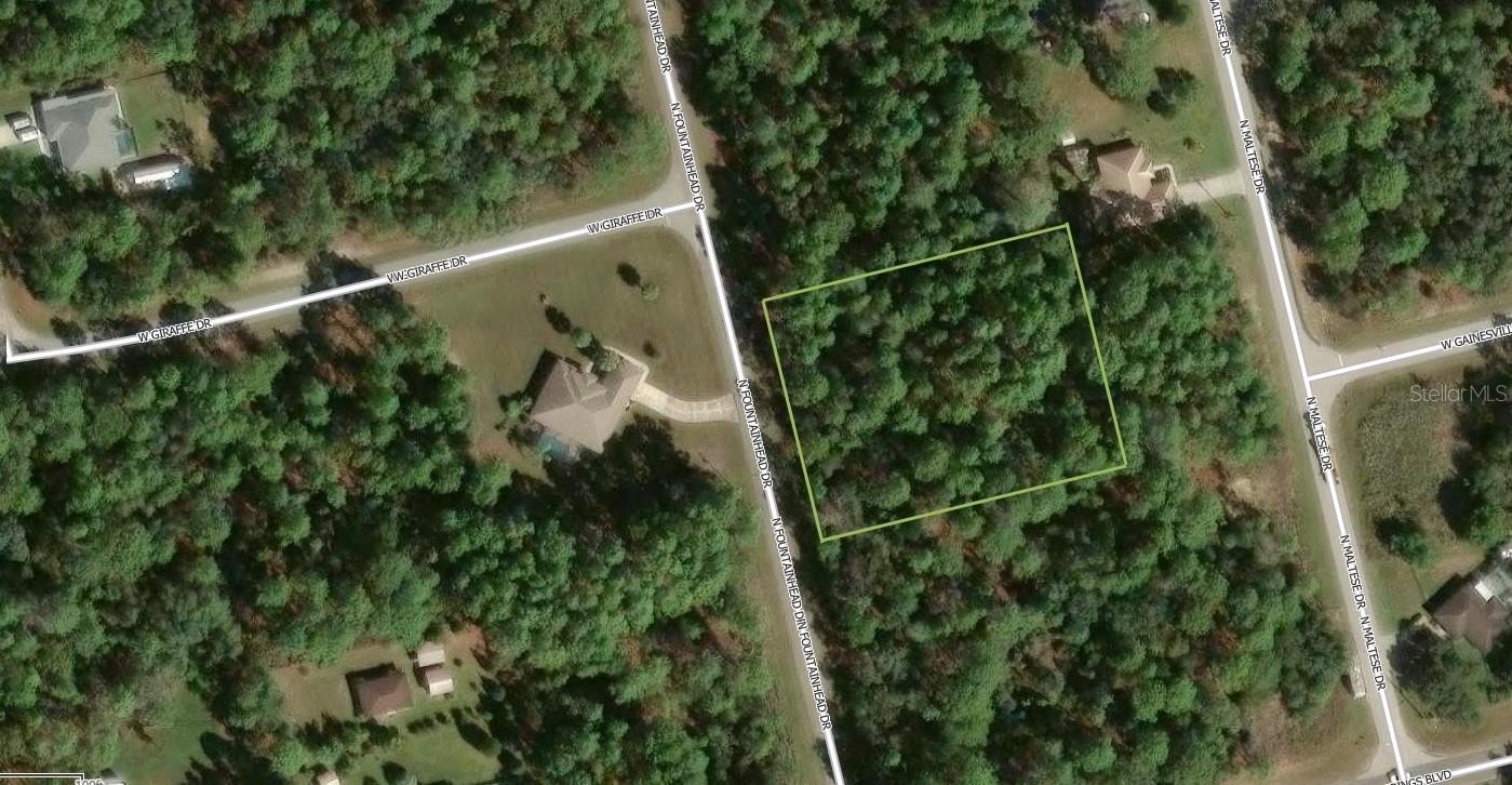 Vacant Land in Citrus Springs