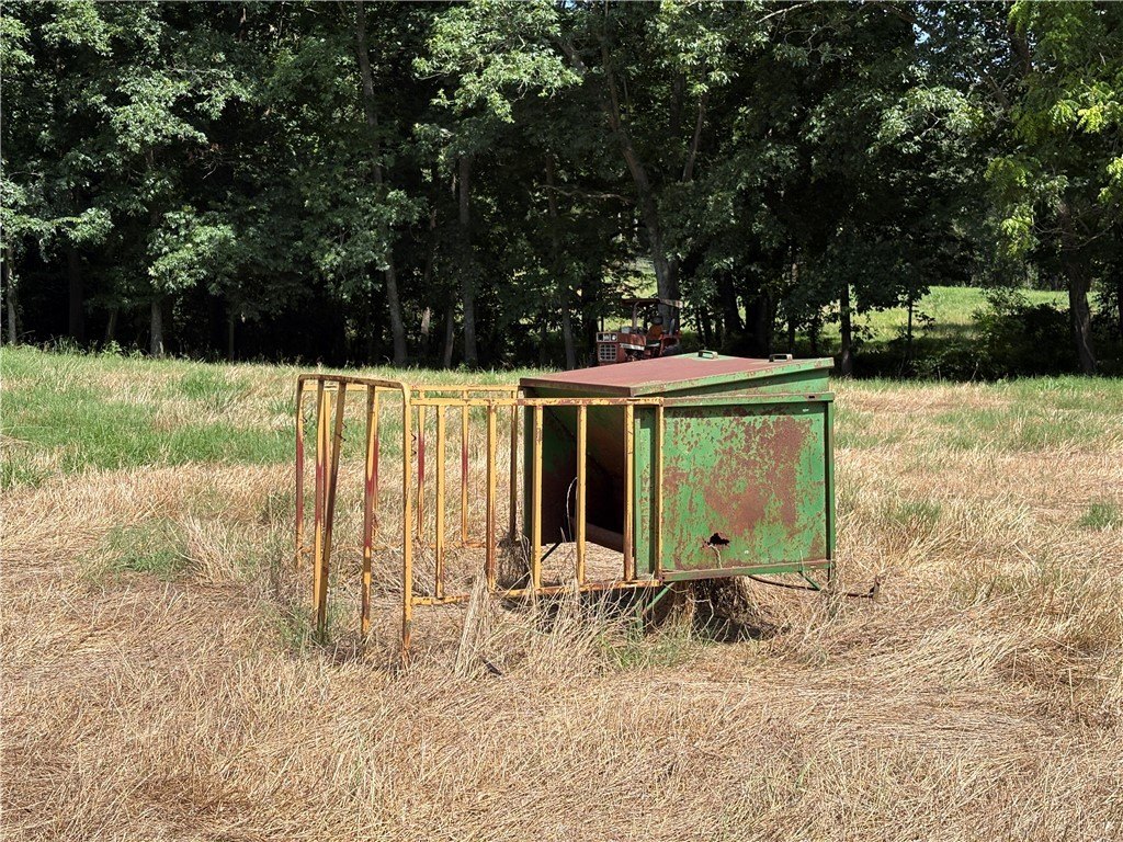 Picture 29