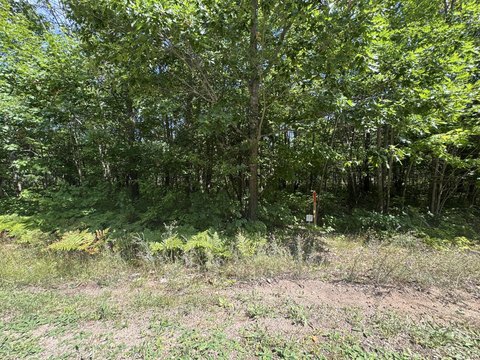 Land, Kinross, MI