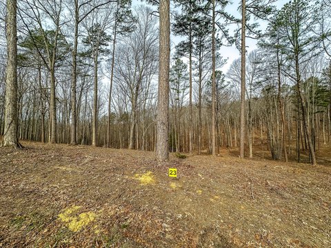 Land, East Bernstadt, KY