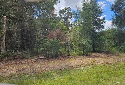 Land, Webster, FL