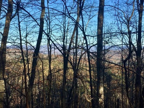 LAND - Warne, NC