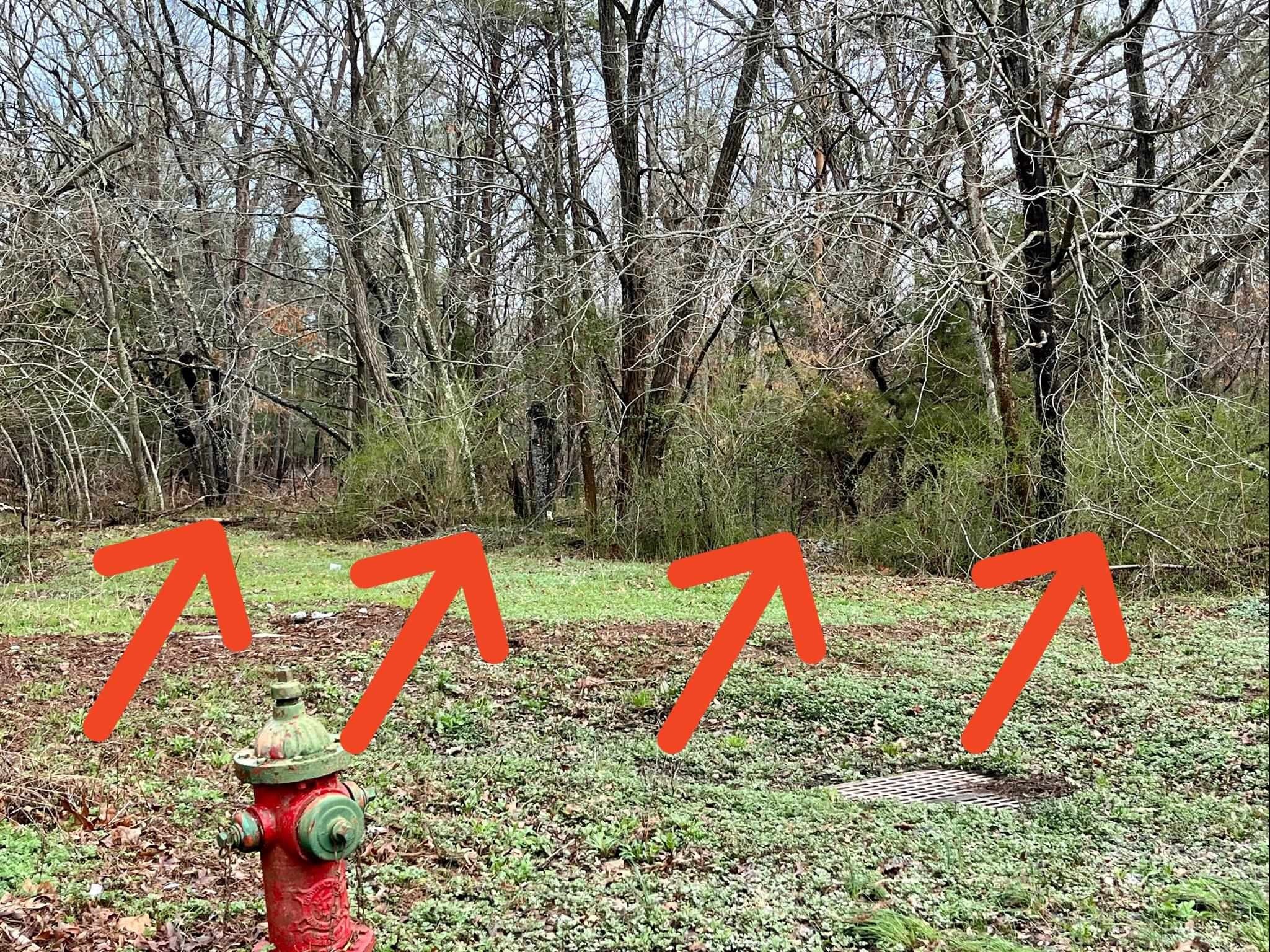 Woodbine, NJ Land Opportunity