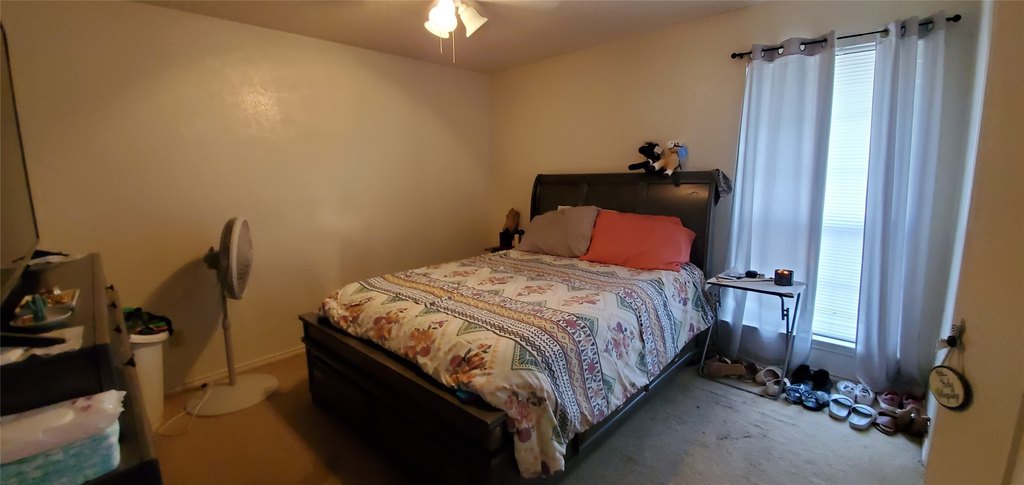 Picture 9