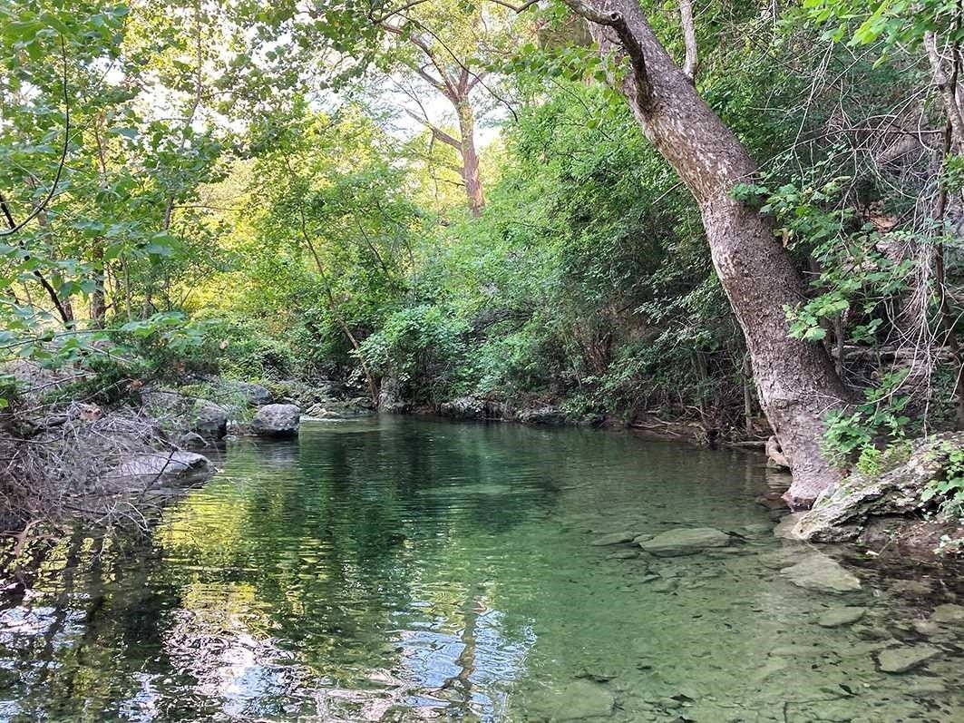 Unique Canyon View Lot