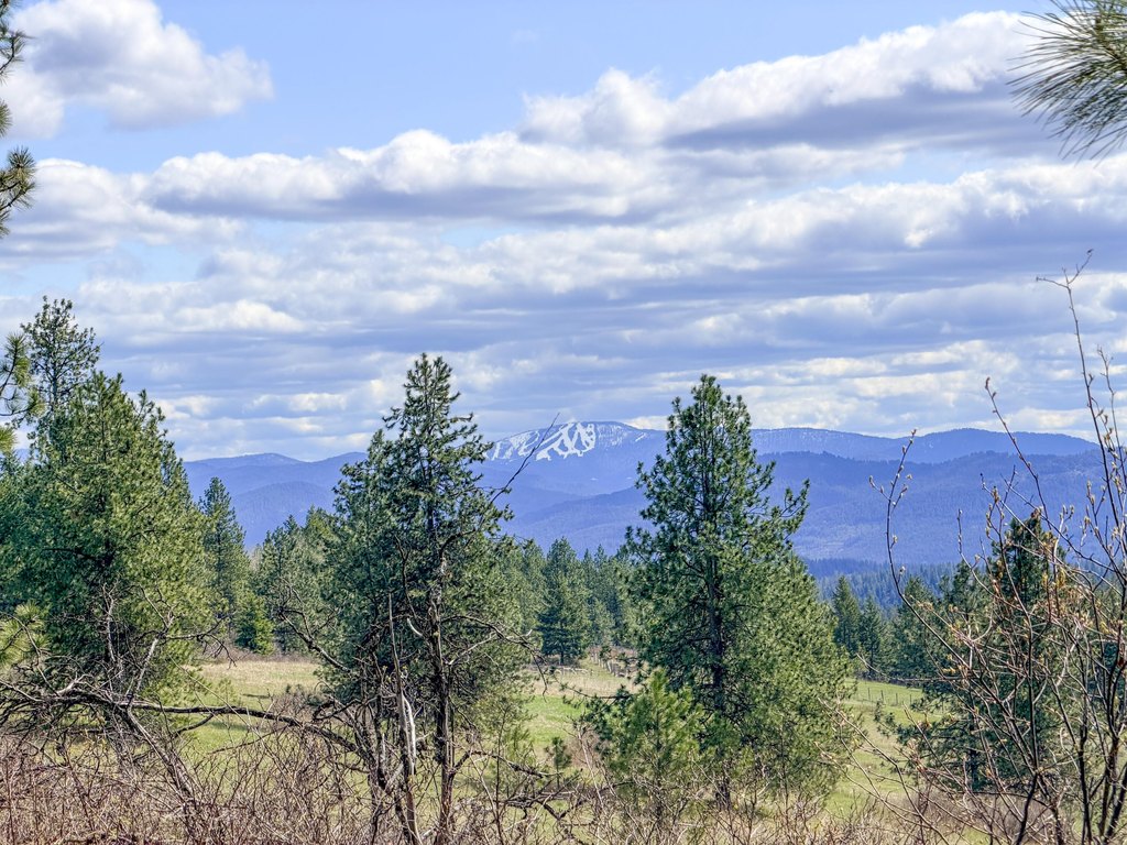 Picture 29