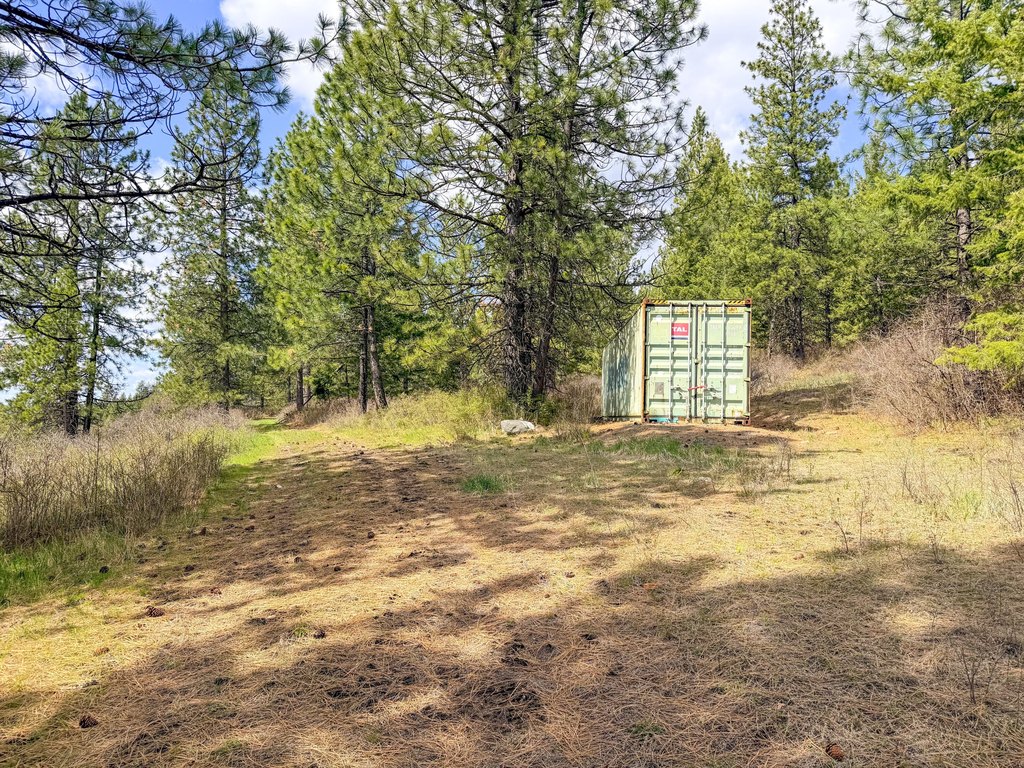 Picture 19