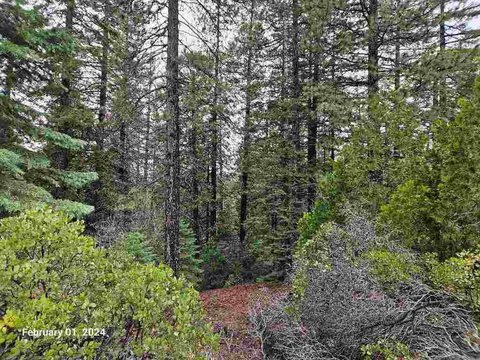 Land, Mount Shasta, CA