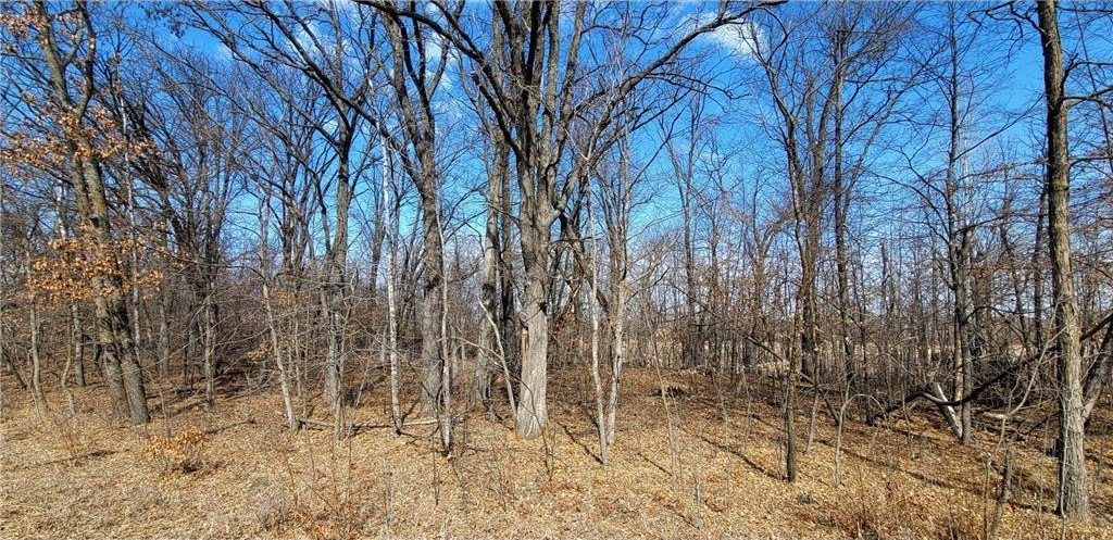 Land with Lake and River Frontage