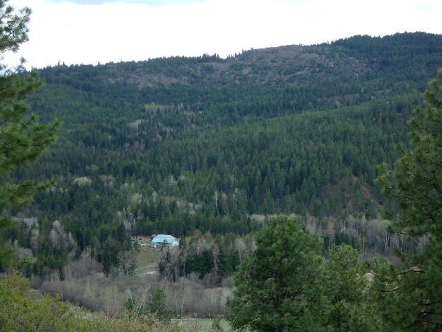 Picture 19